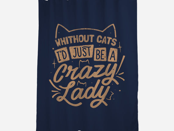 Crazy Lady Without Cats