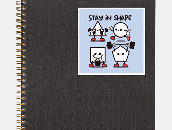 Stay In Shape Geometry