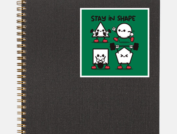 Stay In Shape Geometry