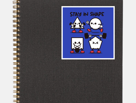 Stay In Shape Geometry