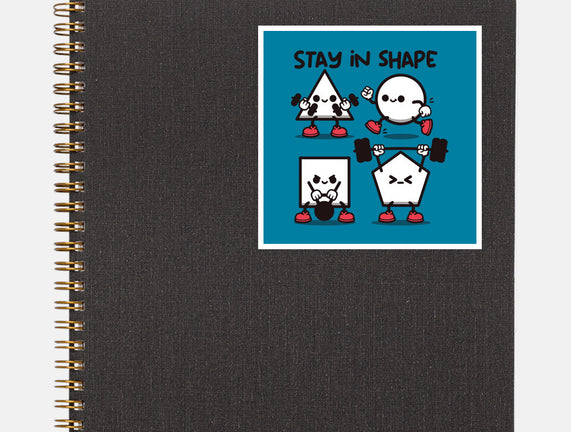 Stay In Shape Geometry