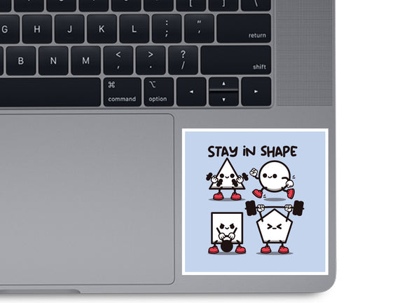 Stay In Shape Geometry