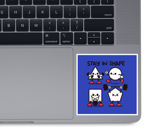 Stay In Shape Geometry