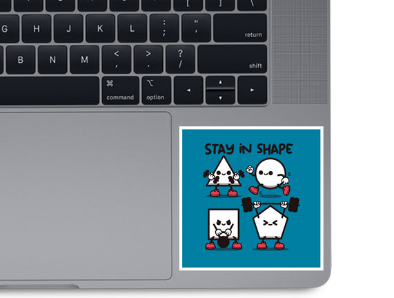 Stay In Shape Geometry