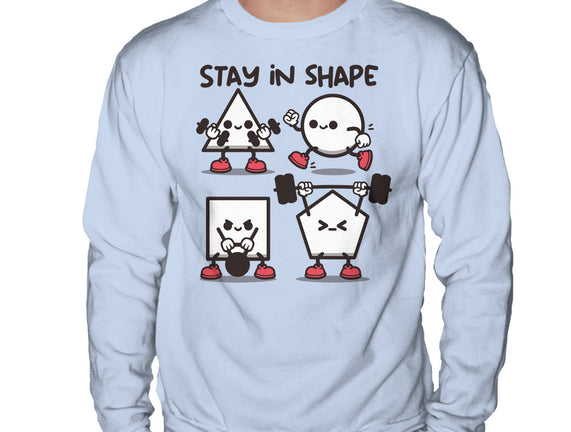Stay In Shape Geometry