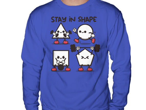 Stay In Shape Geometry