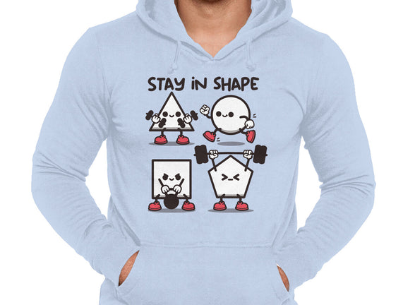 Stay In Shape Geometry