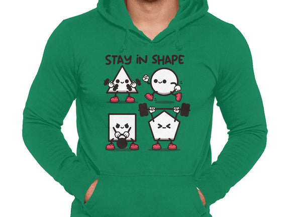 Stay In Shape Geometry