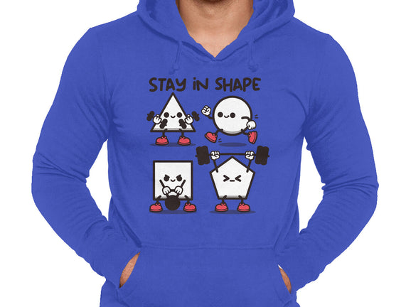 Stay In Shape Geometry