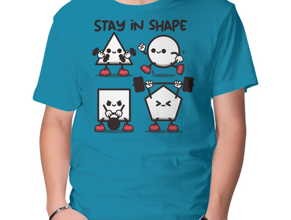 Stay In Shape Geometry