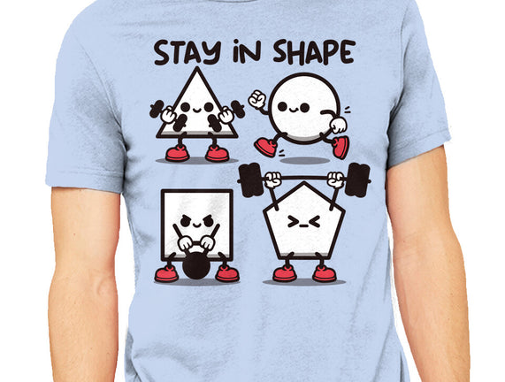 Stay In Shape Geometry