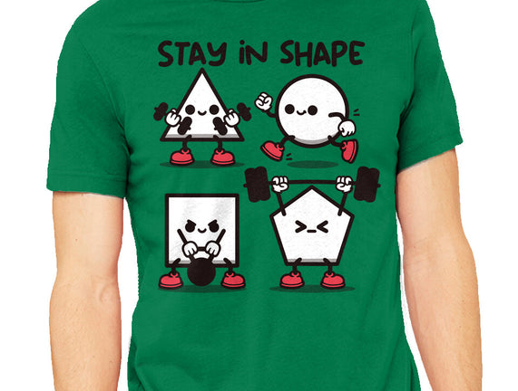 Stay In Shape Geometry