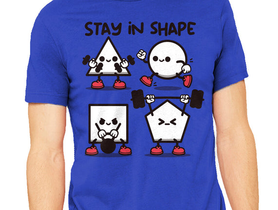 Stay In Shape Geometry