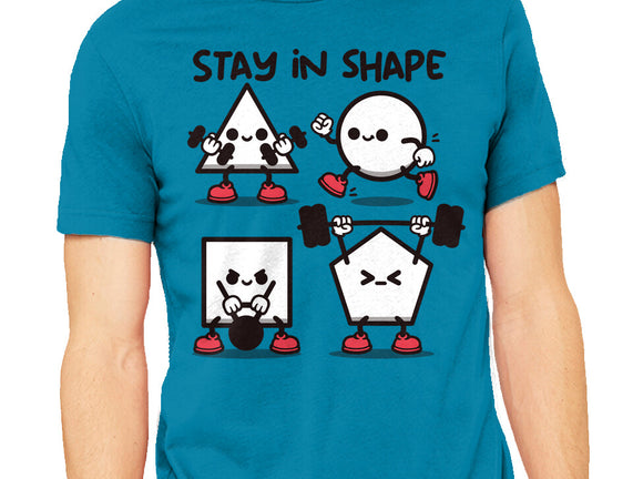 Stay In Shape Geometry
