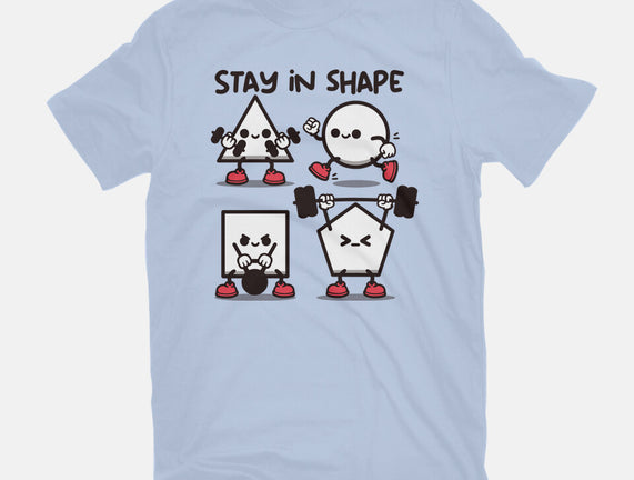 Stay In Shape Geometry