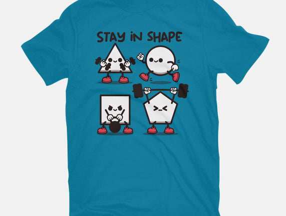 Stay In Shape Geometry