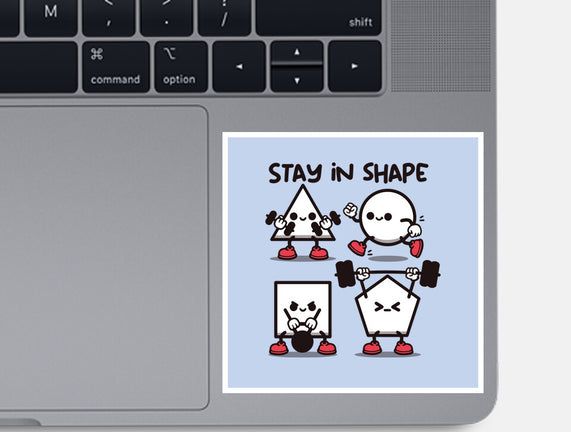 Stay In Shape Geometry