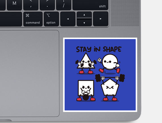 Stay In Shape Geometry