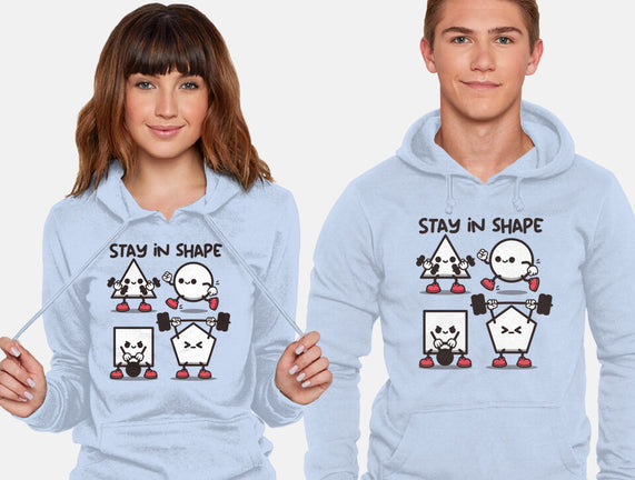 Stay In Shape Geometry