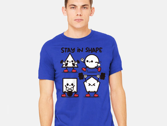 Stay In Shape Geometry
