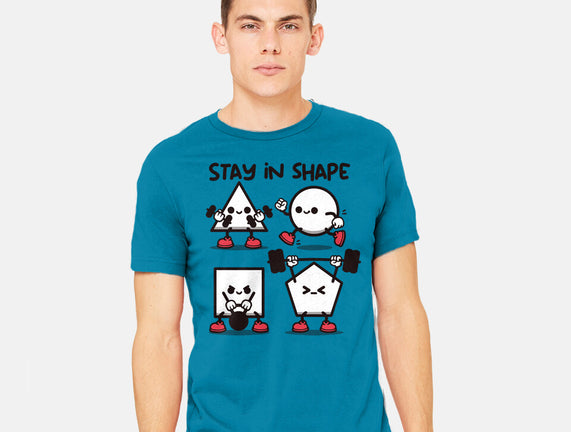 Stay In Shape Geometry