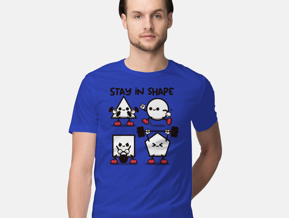 Stay In Shape Geometry