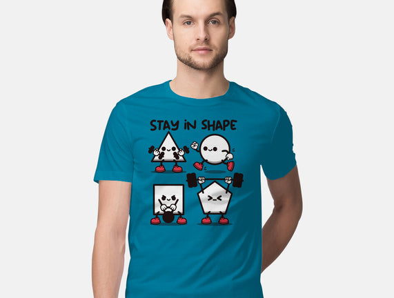 Stay In Shape Geometry