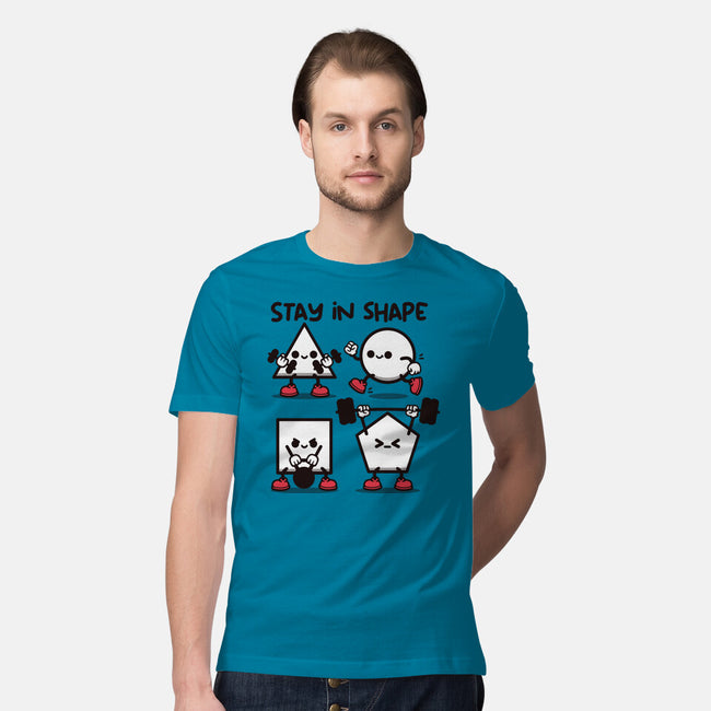 Stay In Shape Geometry-Mens-Premium-Tee-NemiMakeit