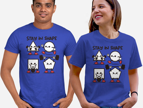 Stay In Shape Geometry