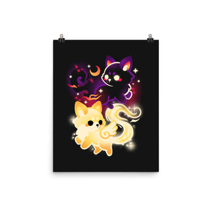 Night And Day Foxes