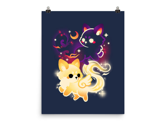 Night And Day Foxes