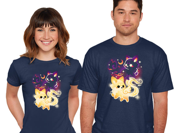 Night And Day Foxes