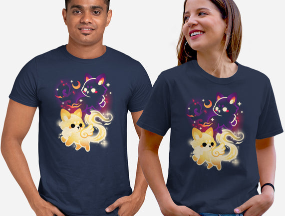 Night And Day Foxes