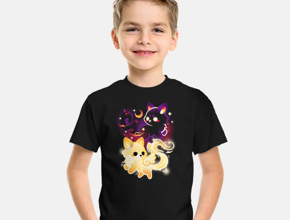 Night And Day Foxes