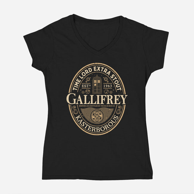 Time Lord Stout-Womens-V-Neck-Tee-retrodivision