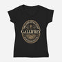 Time Lord Stout-Womens-V-Neck-Tee-retrodivision