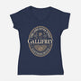Time Lord Stout-Womens-V-Neck-Tee-retrodivision