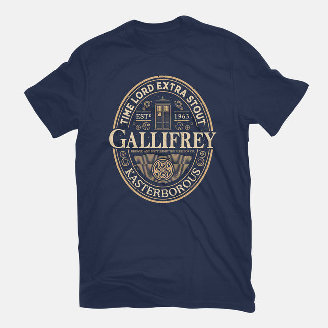 Time Lord Stout-Womens-Fitted-Tee-retrodivision