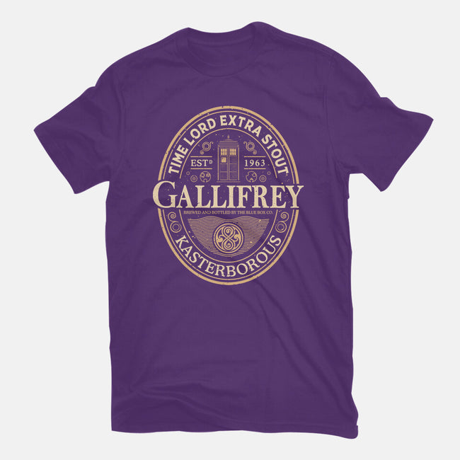 Time Lord Stout-Womens-Fitted-Tee-retrodivision