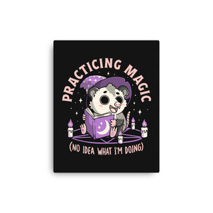 Practicing Magic