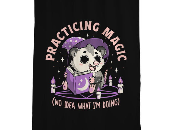 Practicing Magic
