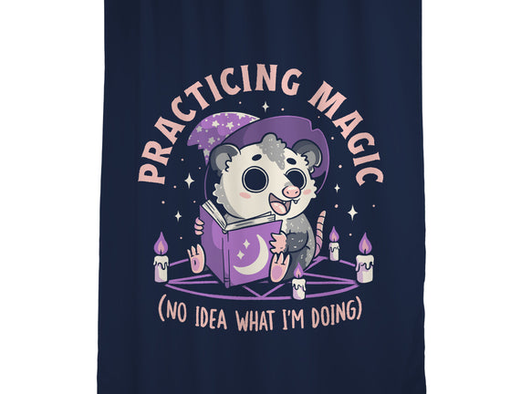 Practicing Magic