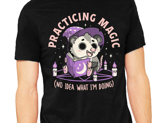 Practicing Magic