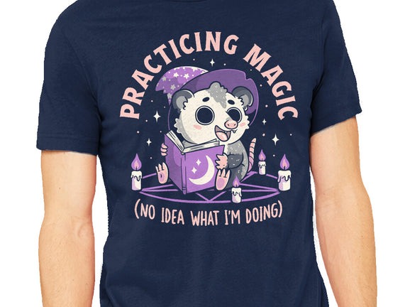 Practicing Magic