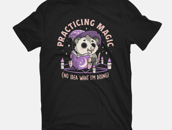 Practicing Magic