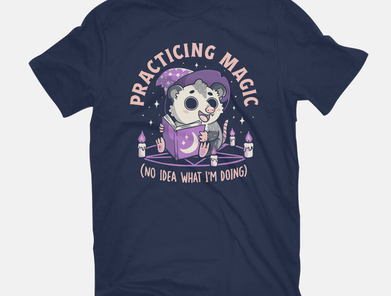 Practicing Magic