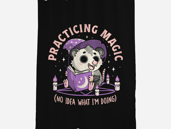 Practicing Magic