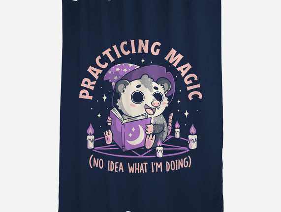 Practicing Magic