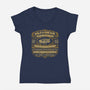 Solo And Chewie Smuggling Services-Womens-V-Neck-Tee-kg07