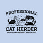 Professional Cat Herder-Womens-Fitted-Tee-kg07